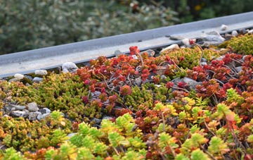 the cost of Monboddo green roof installation