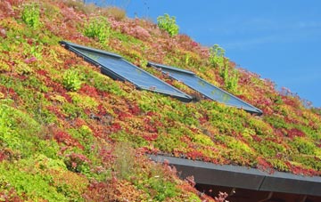 Monboddo living roof systems