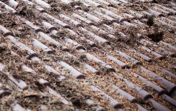 Monboddo roof cleaning companies